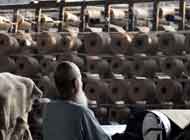 Mirza Jute Mills Ltd.